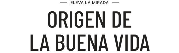 Zaguán, Desarrollo de usos mixtos en Mérida